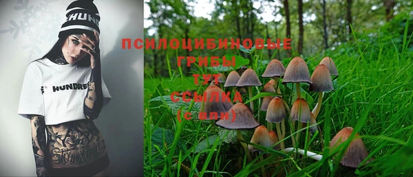 молекула духа Армянск