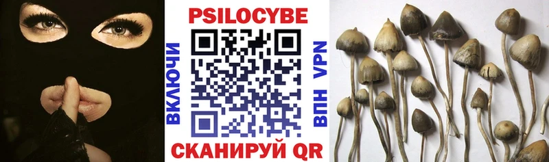Псилоцибиновые грибы GOLDEN TEACHER  Купить  Тосно 